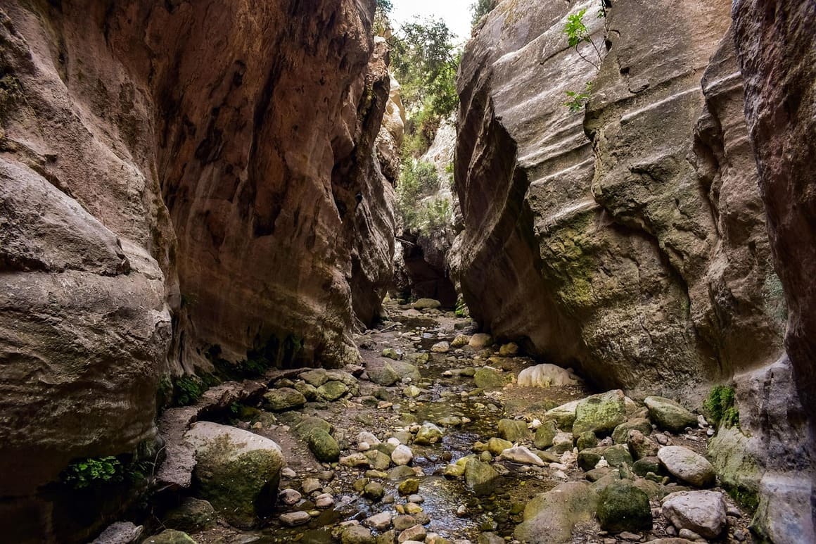Hike in Avakas Gorge