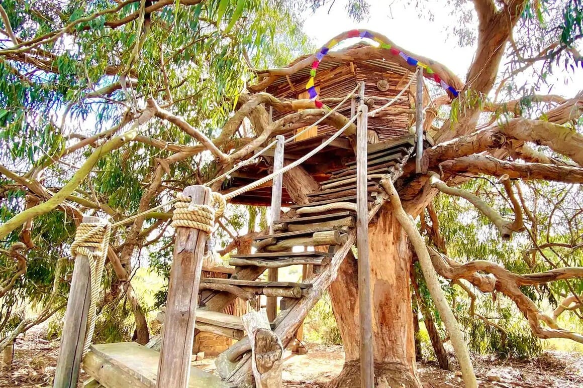 Magical Treehouse Portugal