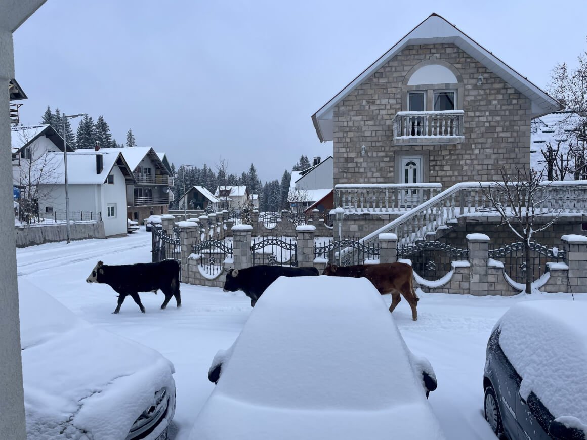Zablijek Snow