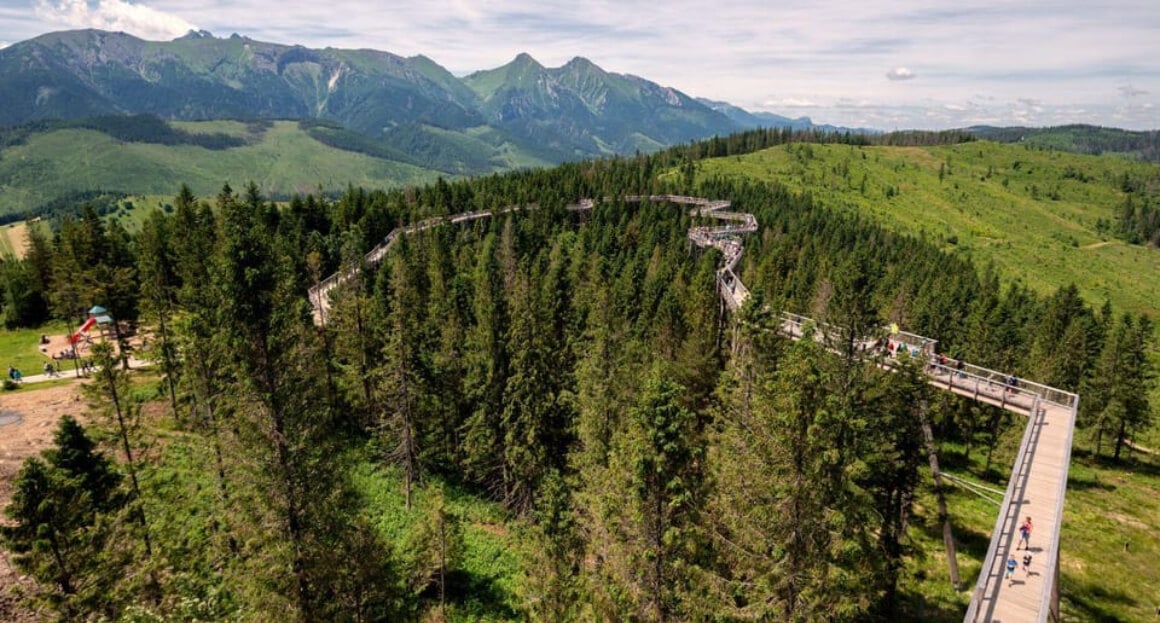 treetops on the Bachledka Treetop Walk in Pieniny National Park