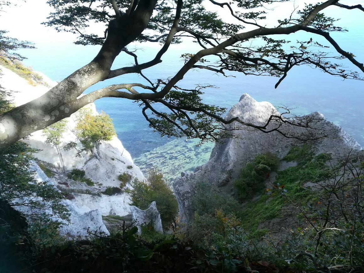 Denmark møns klint borre overlooking cliff