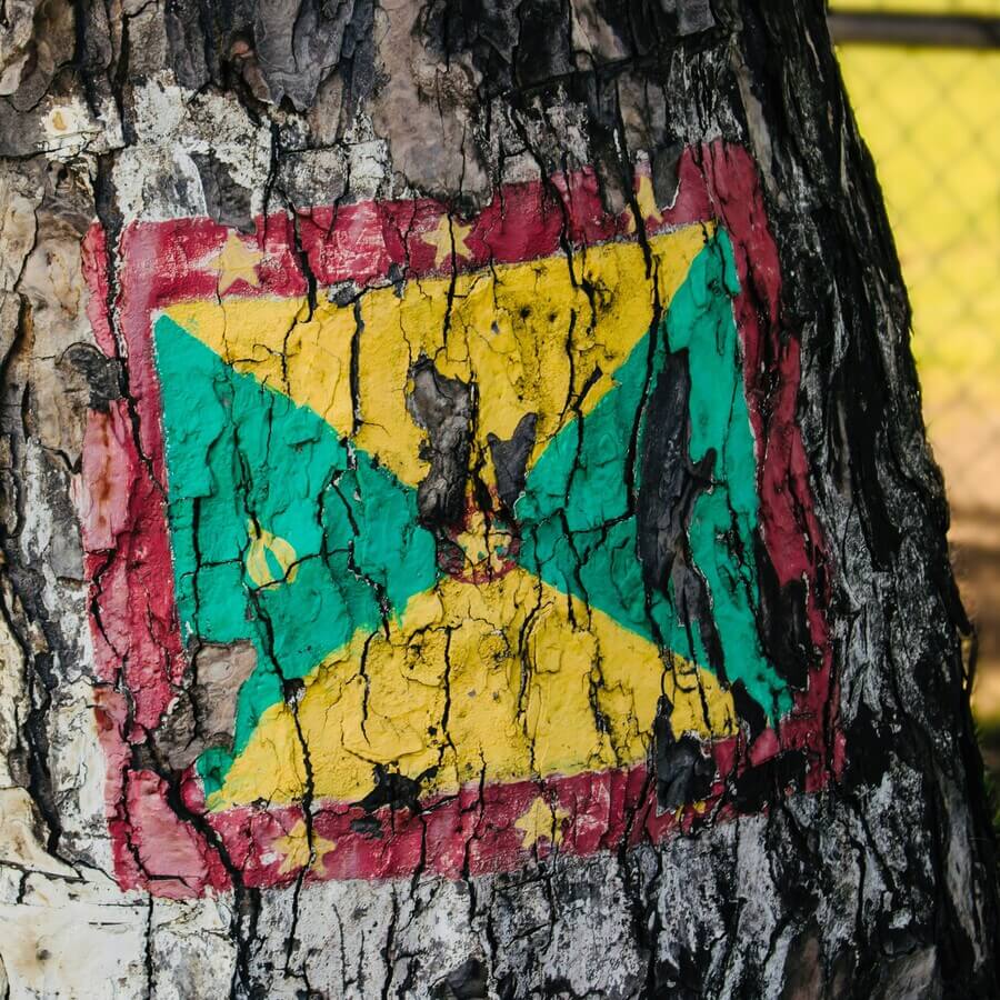 grenada flag painted on a tree