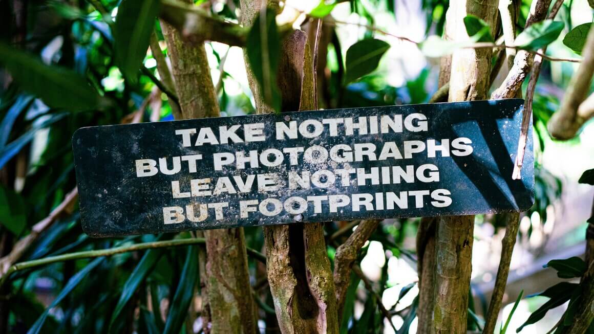 quote written on a sign in a tree - take nothing but photographs, leave nothing but footprints