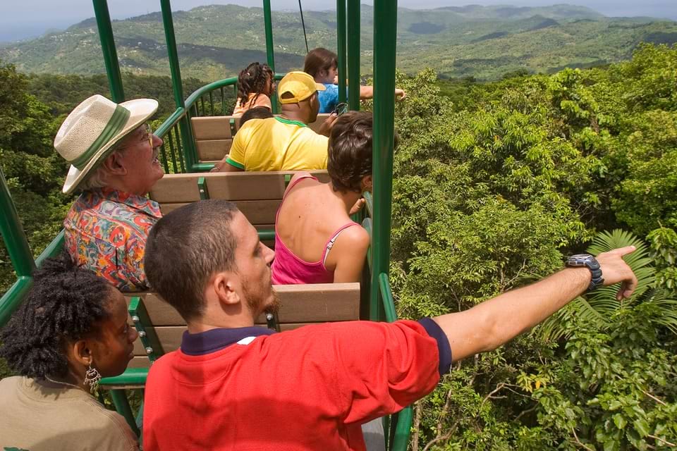 saint lucia aerial tram tour at rainforest adventures