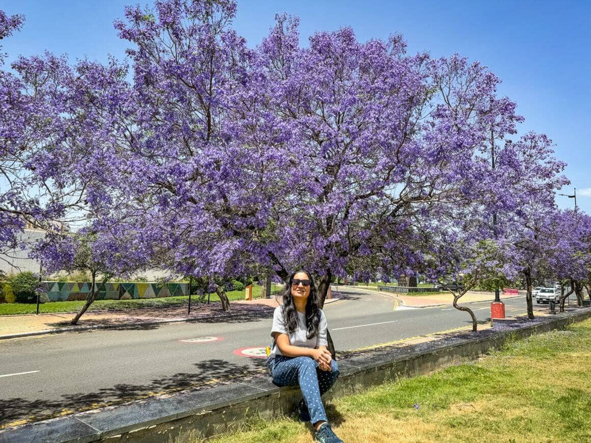 Author of the post sitting by a purple tree in Saudi Arabia