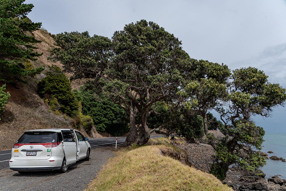 A campervan parked up at the side of the road near the sea in New Zealand