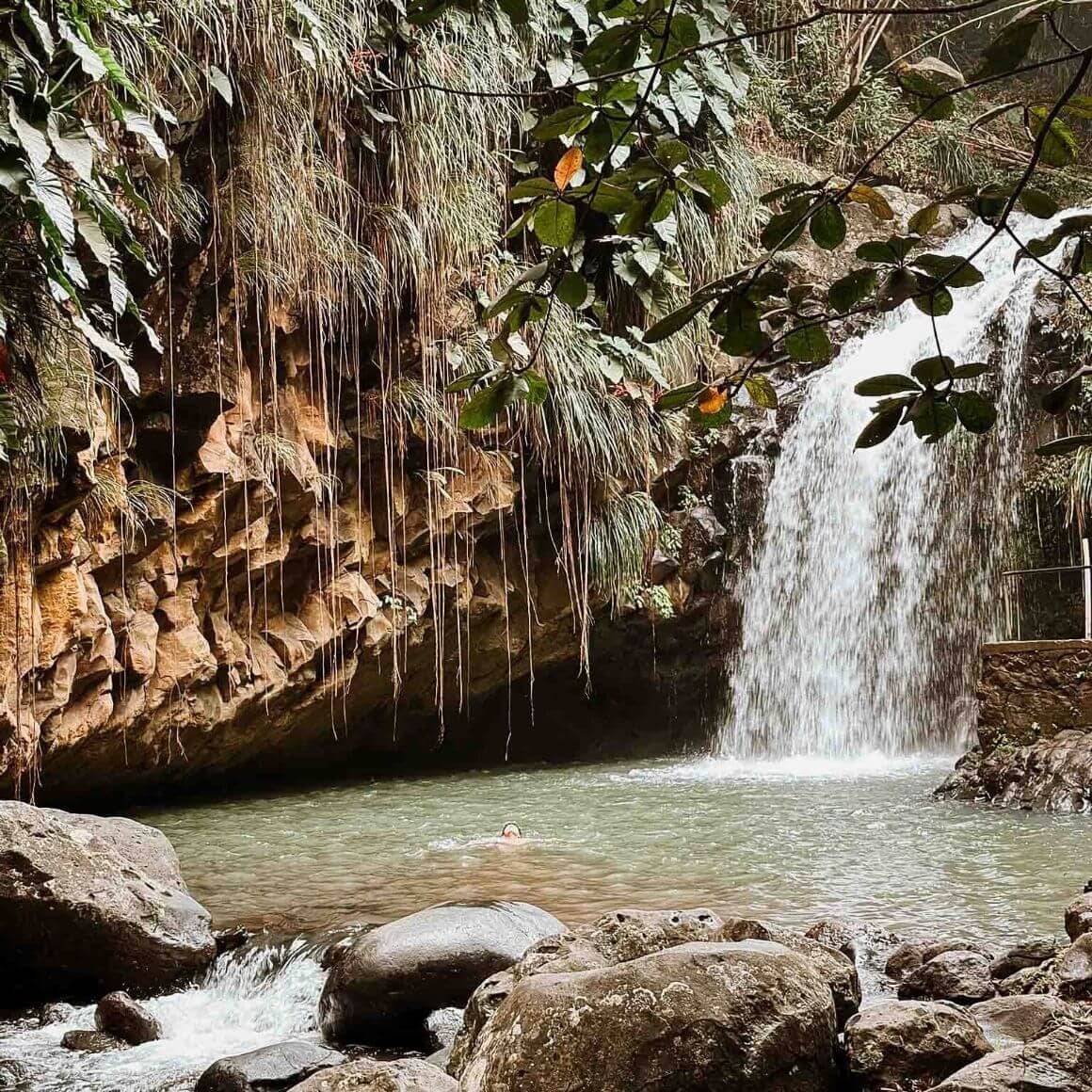 grenada-annandale-waterfalls-continent-hop-4