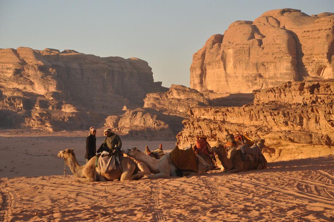 jordan wadi rum bedouin camels