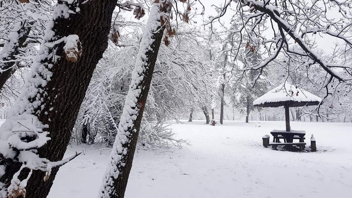 Winter in Serbia (picture taken in KoĆĄutnjak, Belgrade)