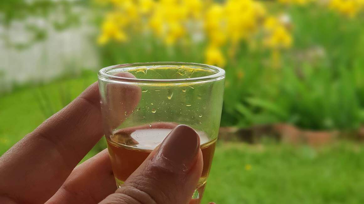Rakija alcohol drink