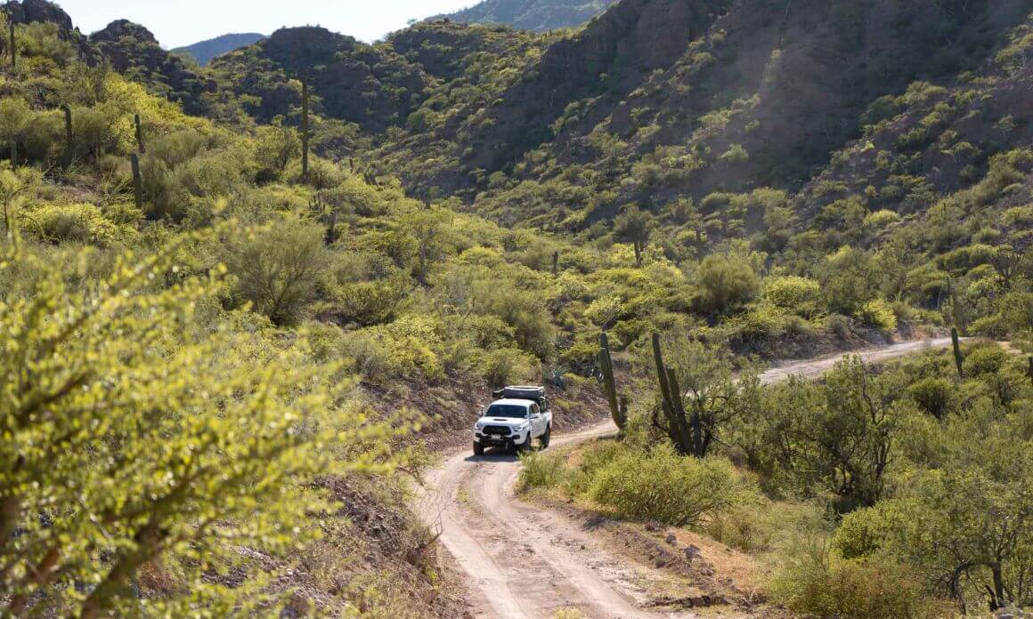 Guided Overlanding Tour