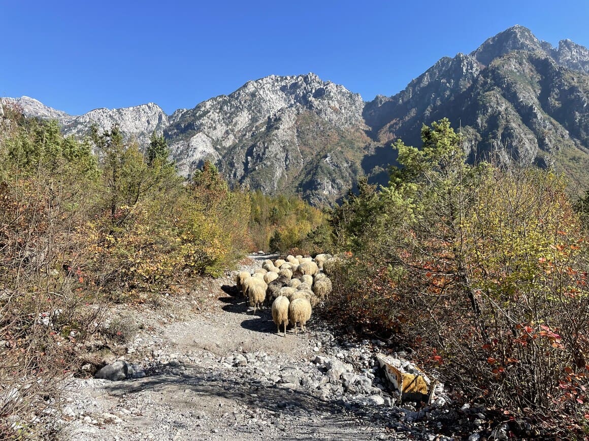 albania theth valbona blue eye trail hike sheep mountains