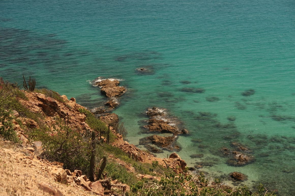 mexico baja beautiful water rocks cactus landscape scenery ocean beach