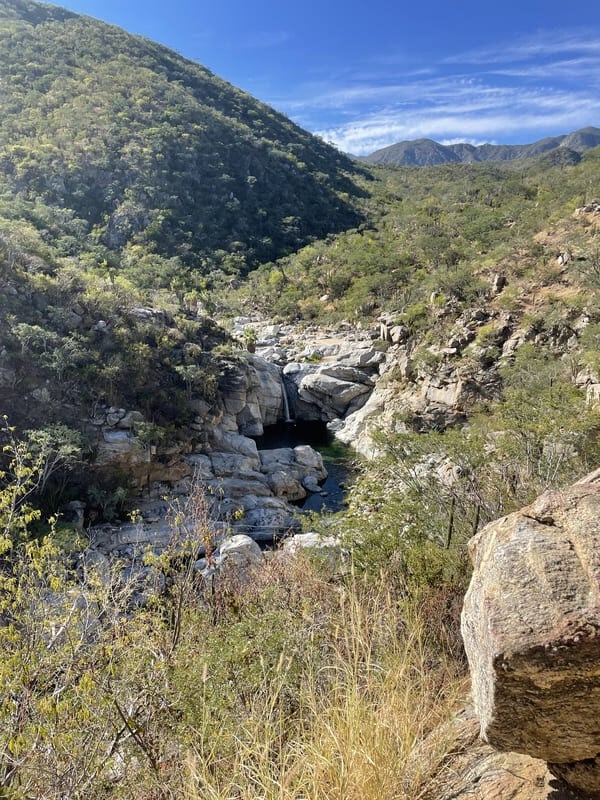 mexico baja green landscape