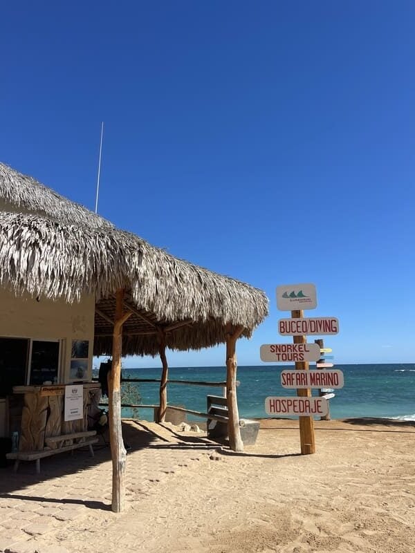 mexico baja snorkelling diving sup tours beach hut