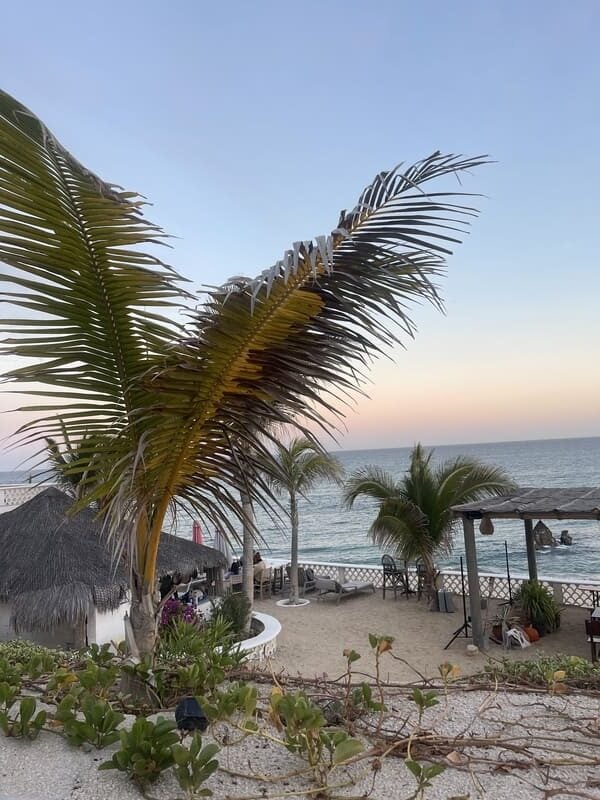 mexico baja sunset palm trees ocean resort
