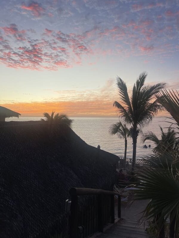 mexico baja sunset resort palms