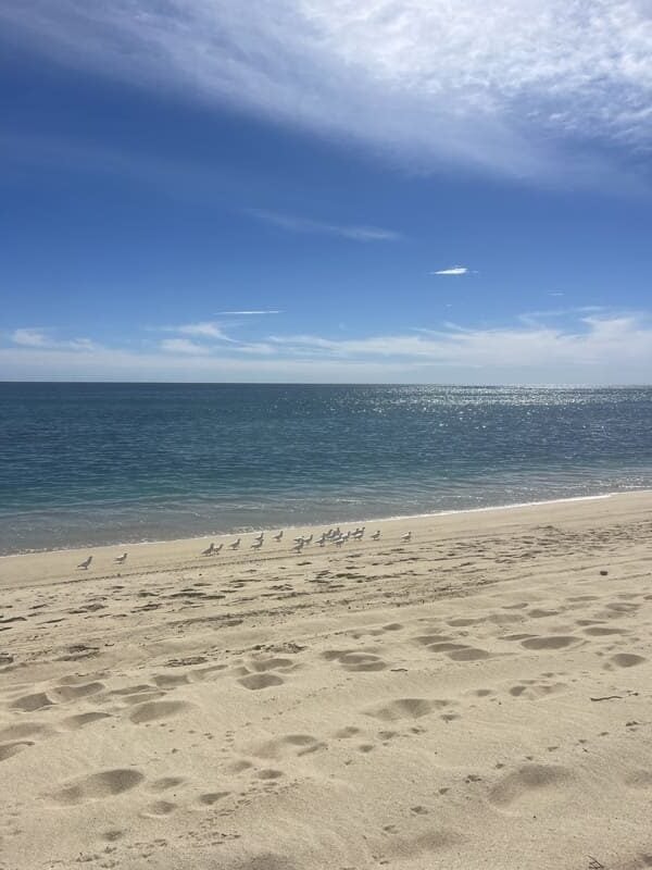 mexico baja white san blue waters sunny ocean landscape