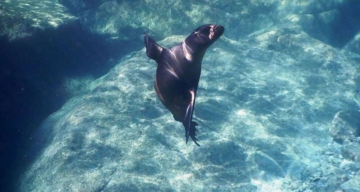 Baja's Cultural Odyssey & La Paz Seashore Elegance 