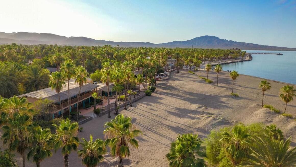 Hotel Oasis 
