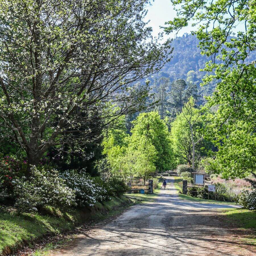 hogsback arboretum entrance