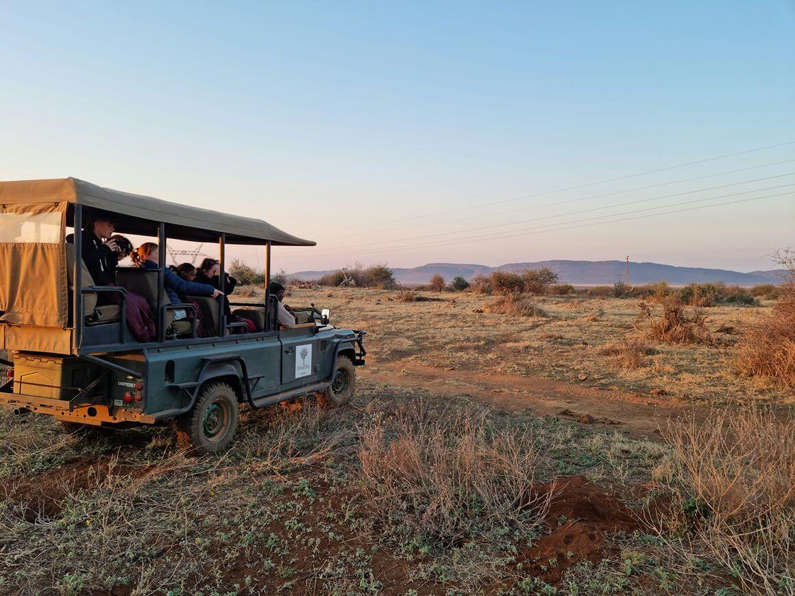 Madikwe Game Reserve