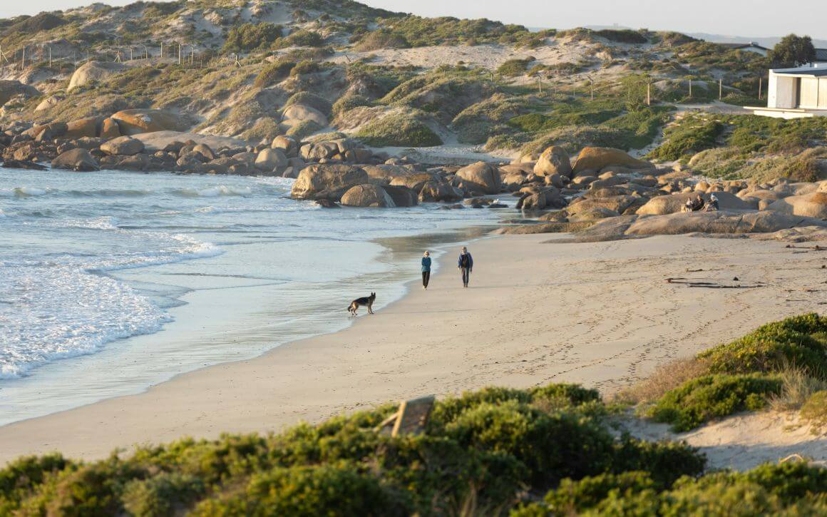 people and a dog enjoy a leisurely walk along