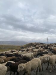 The ULTIMATE 1-3 Week Kyrgyzstan Itinerary (2026 Guide)