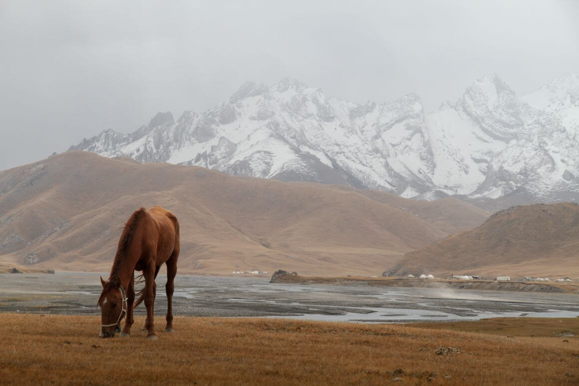 mountainous open landscape kel suu