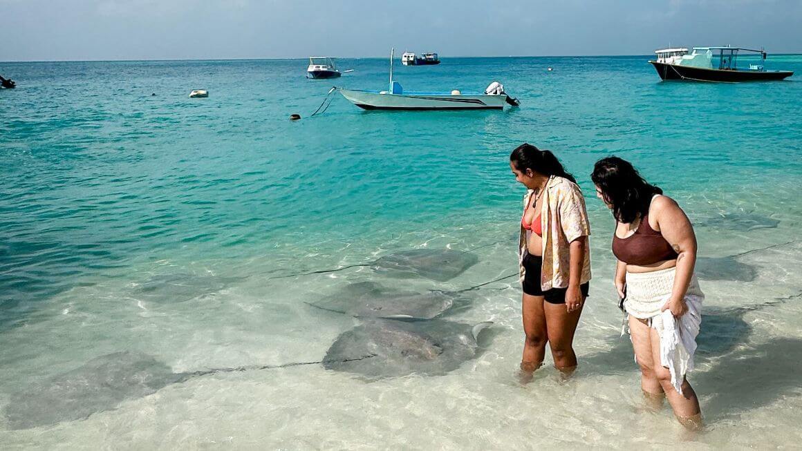 travellers looking at stingrays near beach shore