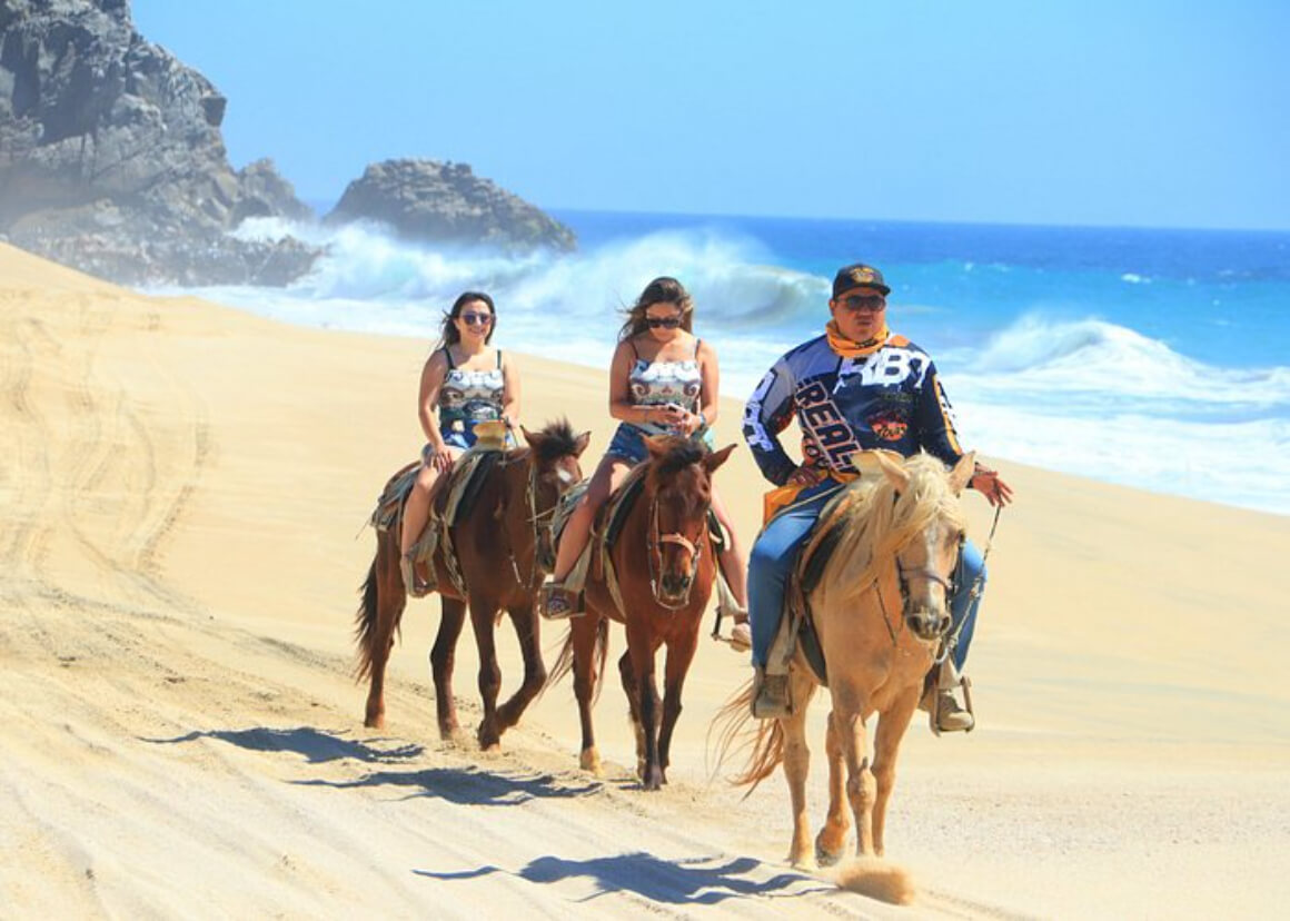 Gallop Along the Beach at Sunset