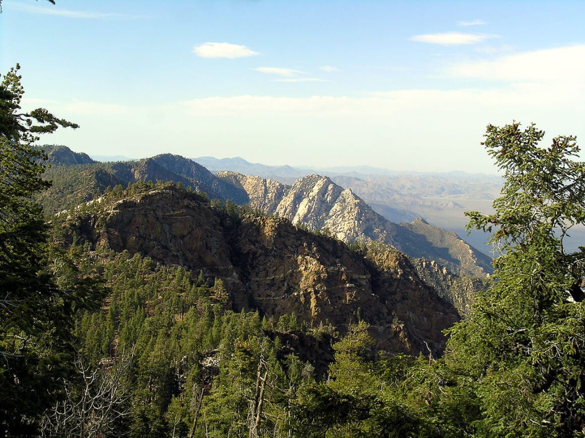 Trek Through Sierra de San Pedro Mártir National Park