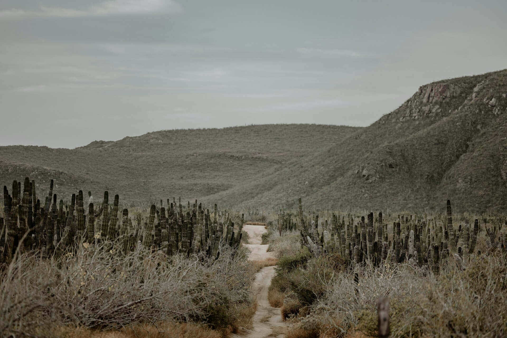 Todos Santos
