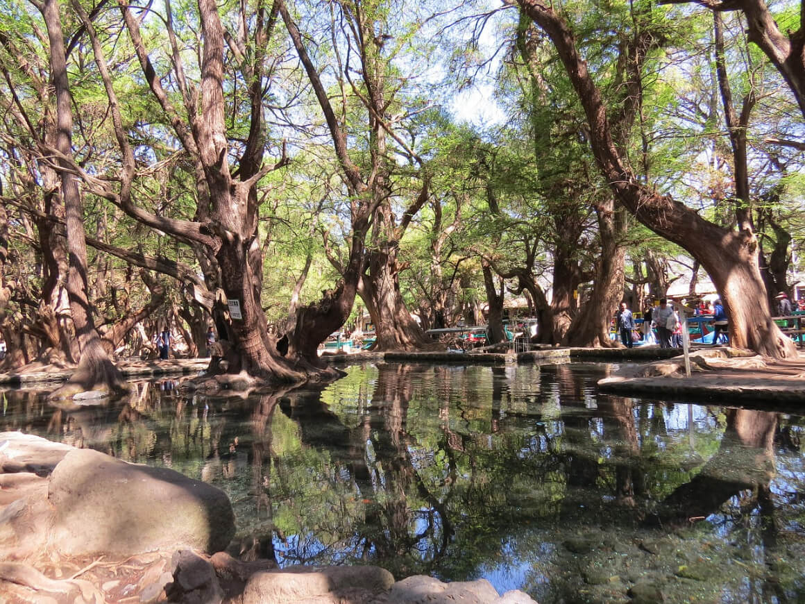 Lago de Camécuaro, Michoacán