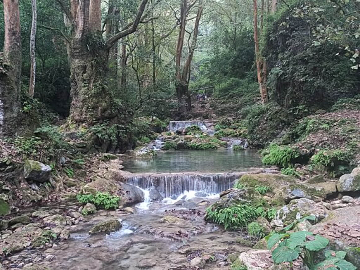 Sierra Gorda Biosphere Reserve, Querétaro
