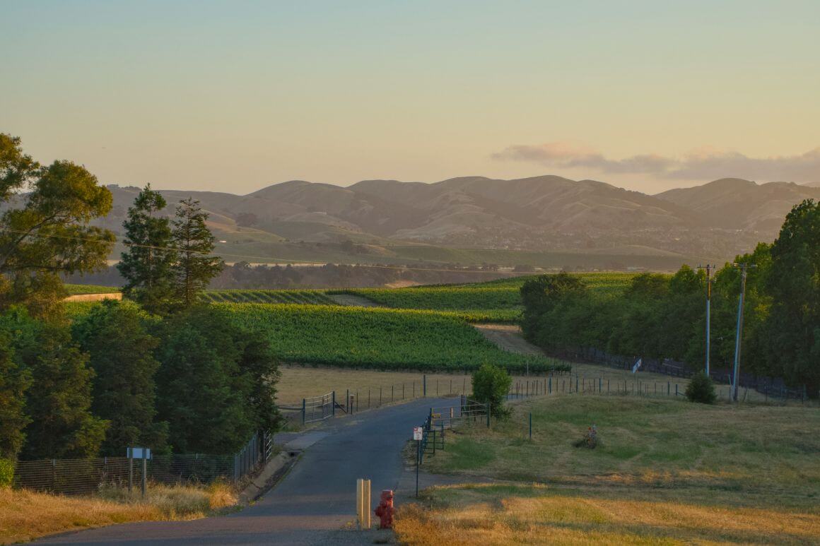 livermore valley sunset