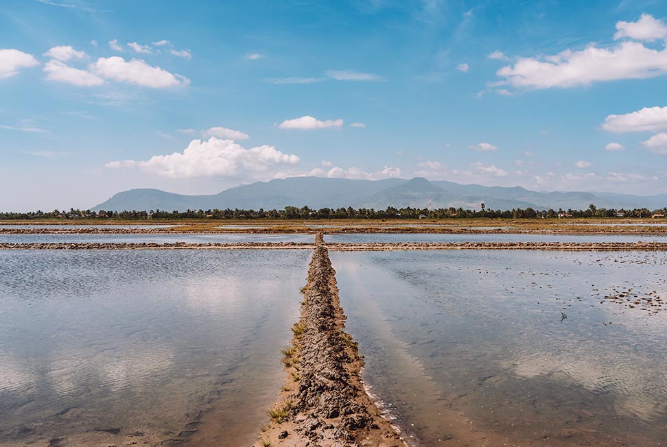 Salt flats in Kampot