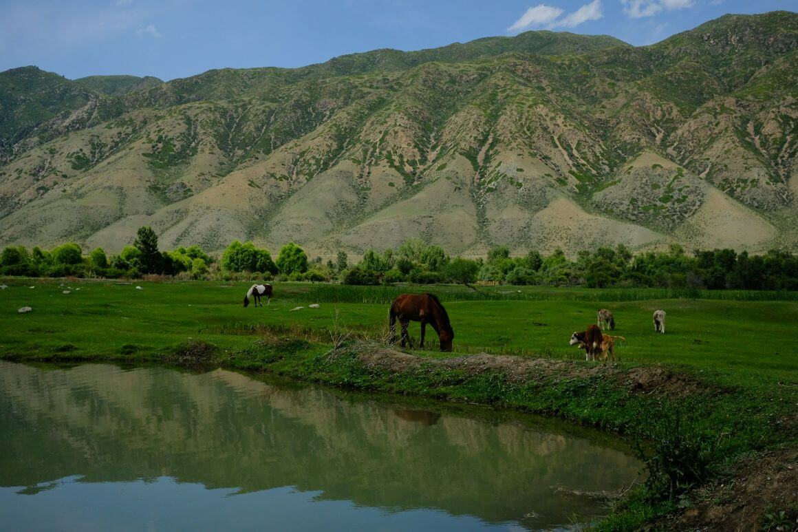 Saty Village animals by the lake
