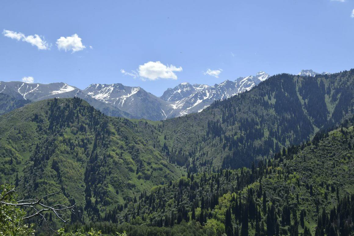 Turgen Gorge