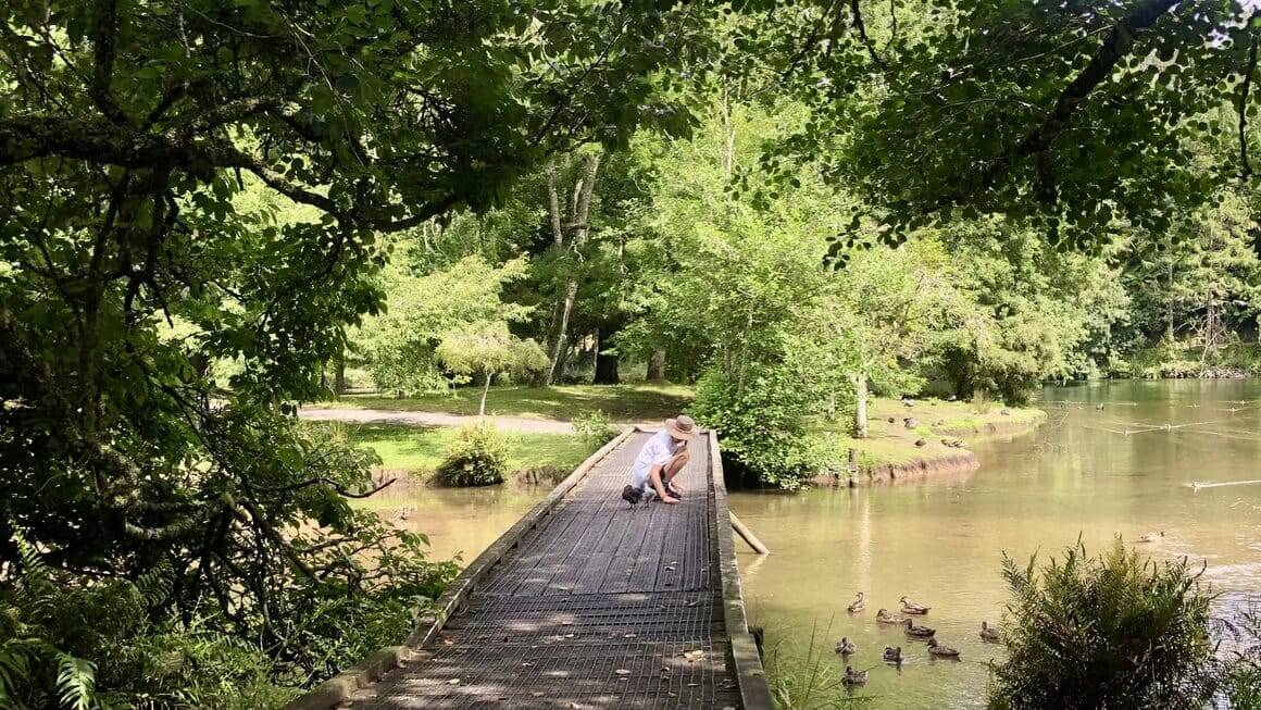 Feeding the ducks at McLarens Falls Park, Omanawa, Tauranga, Aotearoa, New Zealand.