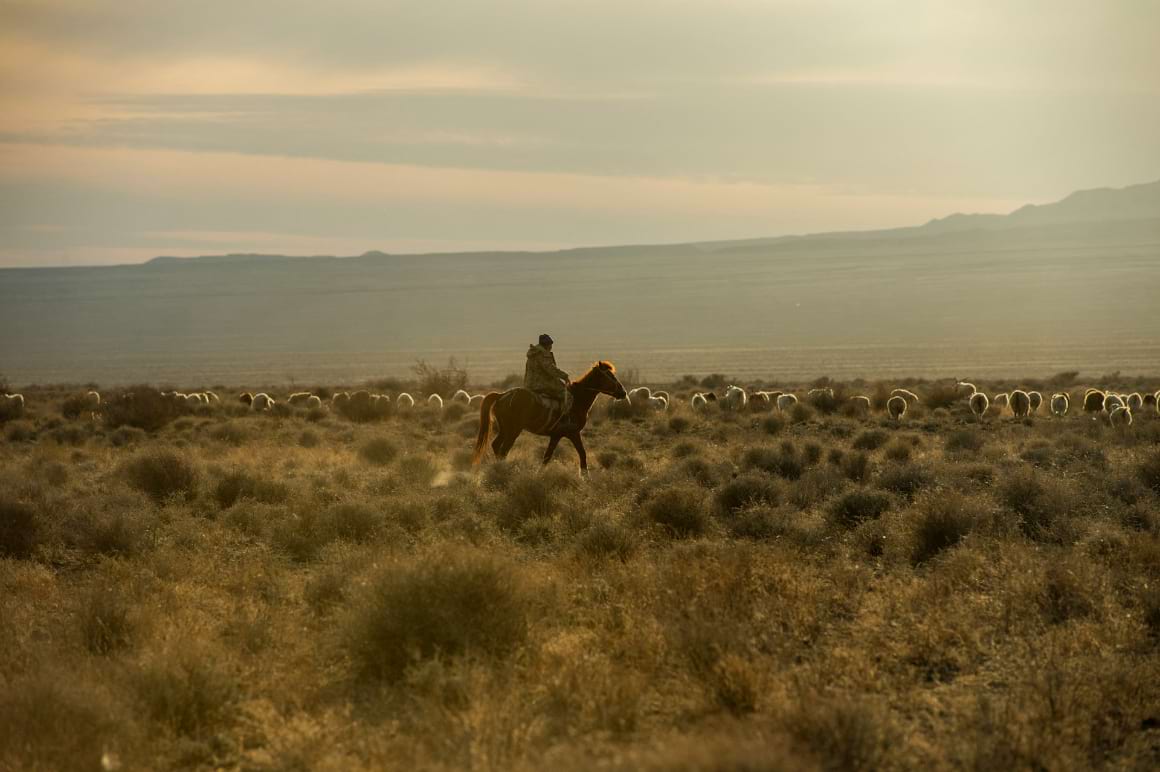 Ride a Horse Across the Kazakh Steppe