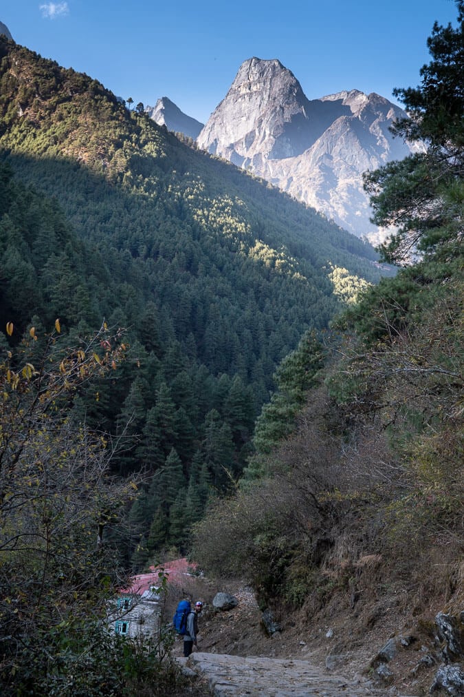 everest base camp phakding forest