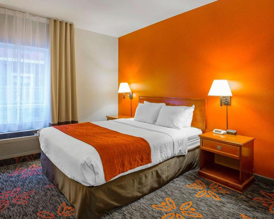 Comfort Inn and Suites University
