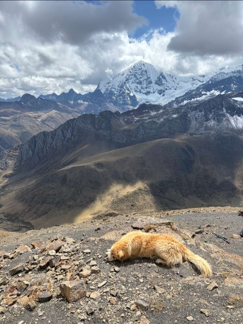 huayhuash
