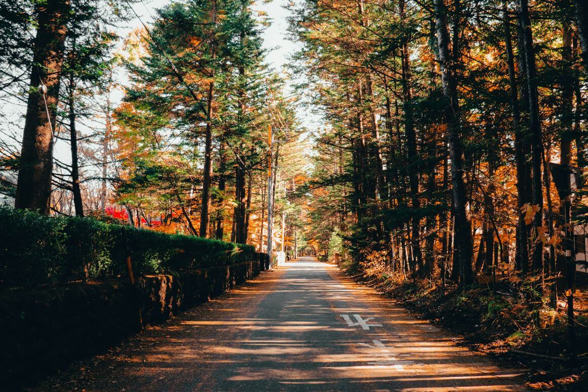 karuizawa streets in autumn around Nagano, Japan