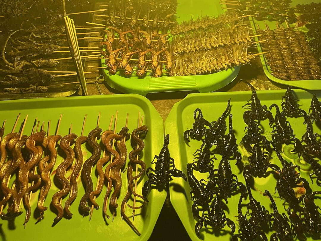 fried insects on a street food stall in siem reap, cambodia