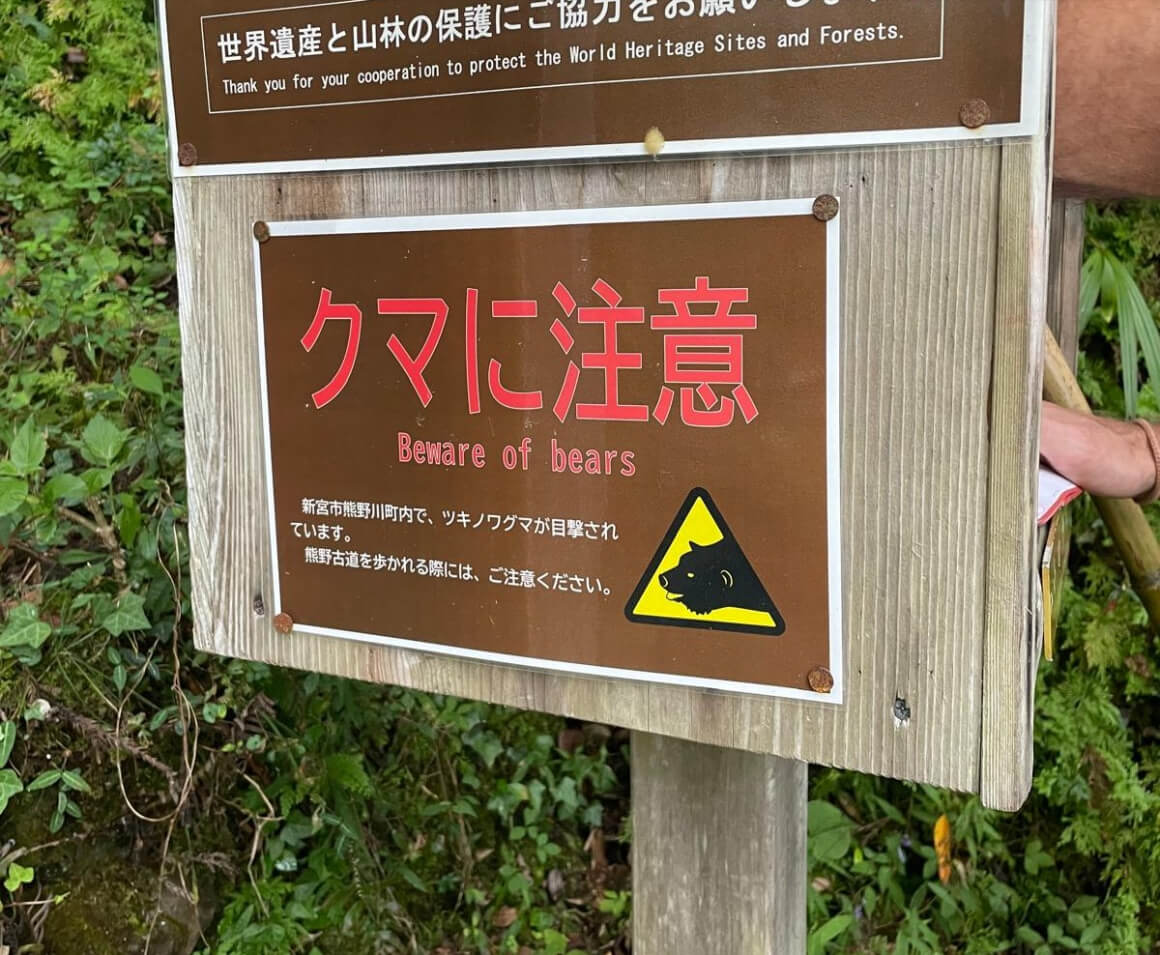 bear warning sign
