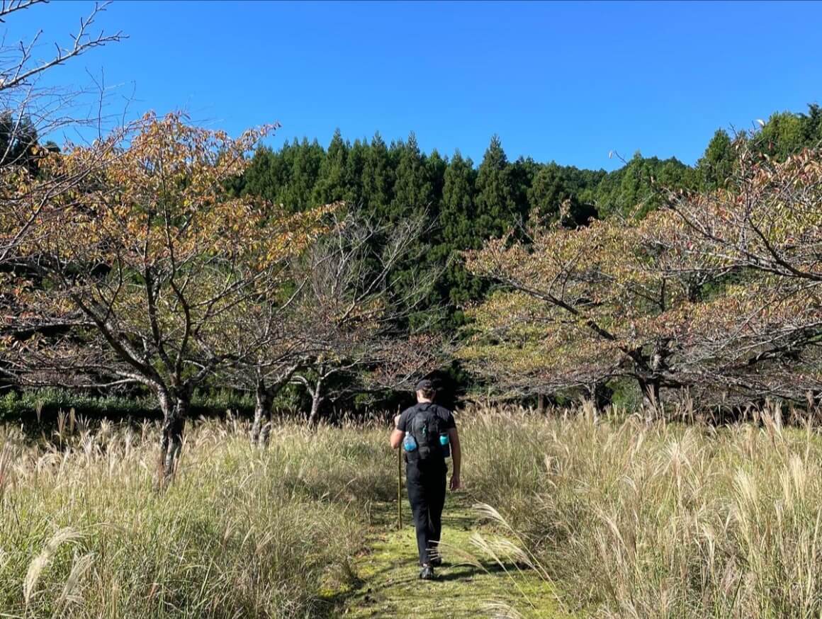 harvey trail