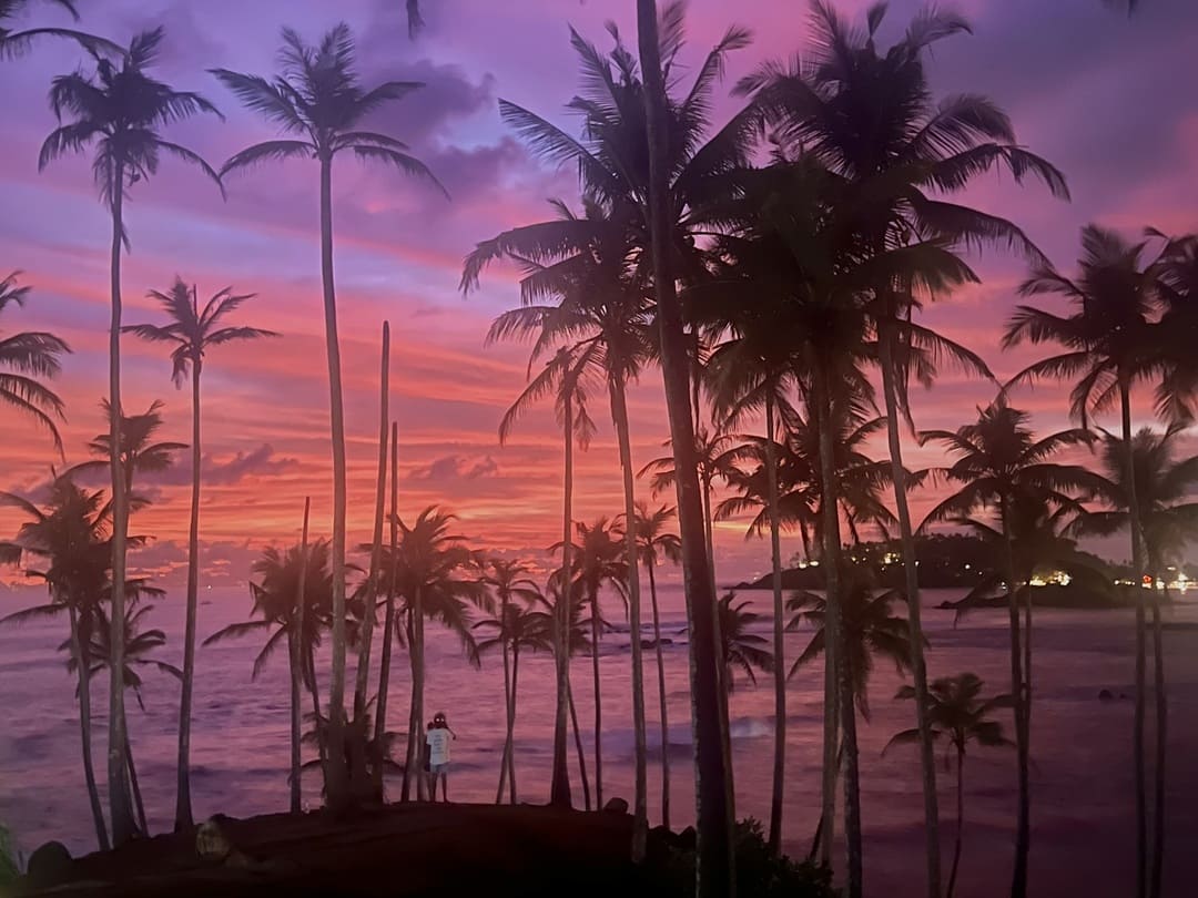 coconut hill in mirissa, sri lanka