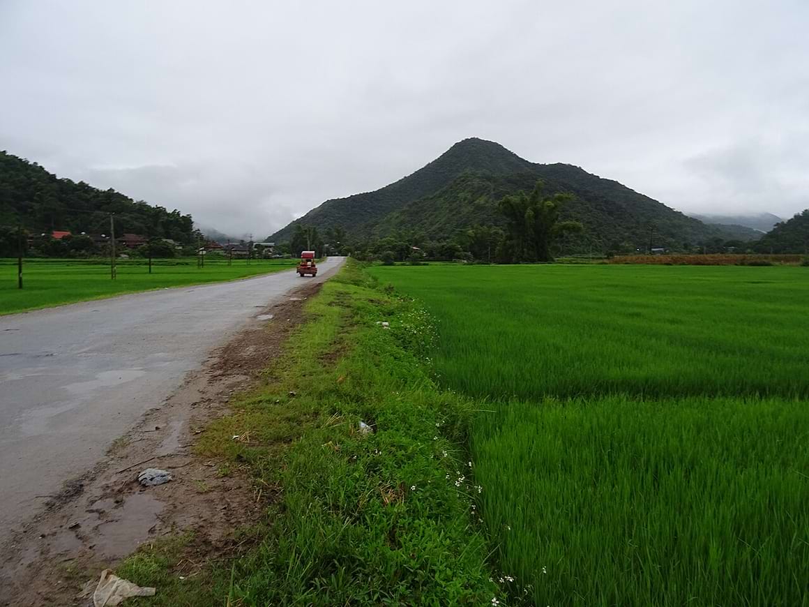 tay trang border